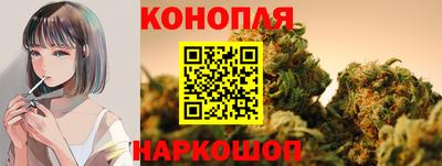mdpv Гатчина