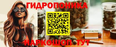 mdpv Гатчина