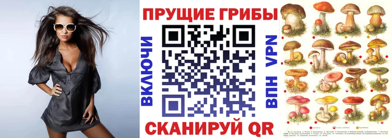 наркота  Новочебоксарск  Галлюциногенные грибы Magic Shrooms 