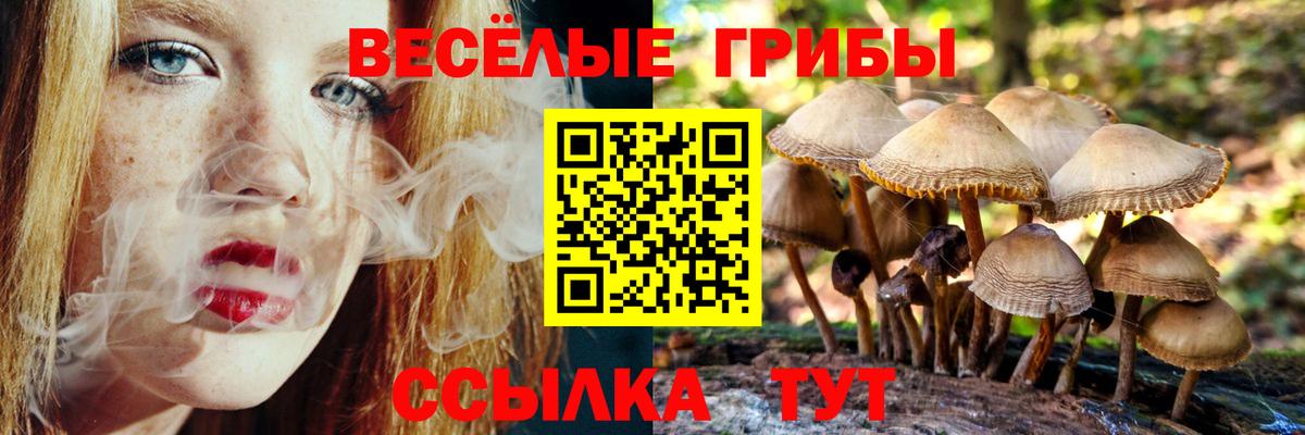 Псилоцибиновые грибы мухоморы  Галлюциногенные грибы прущие грибы  Новочебоксарск  Вход с VPN 